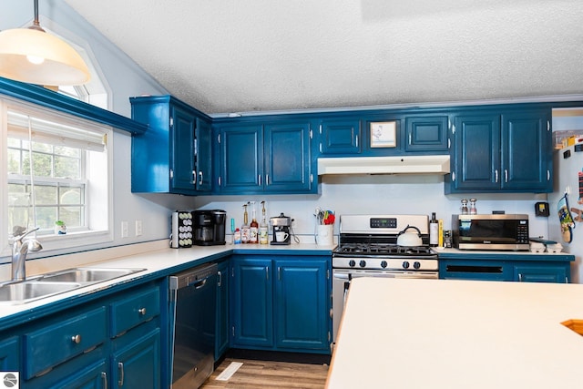 9170 Townline Rd, Kingsley, MI 49649 - kitchen with appliances with stainless steel finishes, under cabinet range hood, a sink, blue cabinets, and light countertops