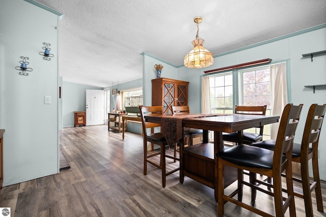 9170 Townline Rd, Kingsley, MI 49649 - dining space with plenty of natural light, a textured ceiling, wood finished floors, and a chandelier