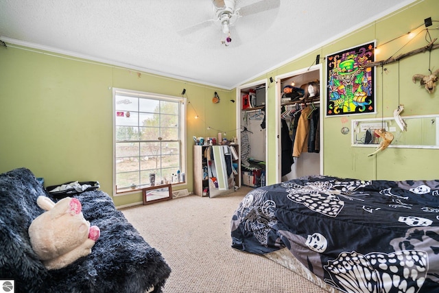 9170 Townline Rd, Kingsley, MI 49649 - carpeted bedroom with ornamental molding, a textured ceiling, ceiling fan, and lofted ceiling