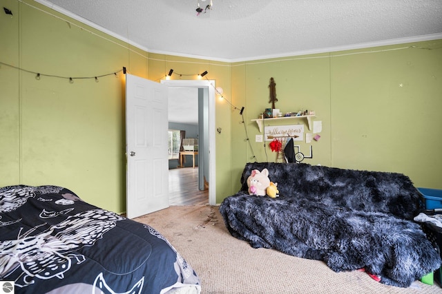 9170 Townline Rd, Kingsley, MI 49649 - carpeted bedroom featuring crown molding and a textured ceiling