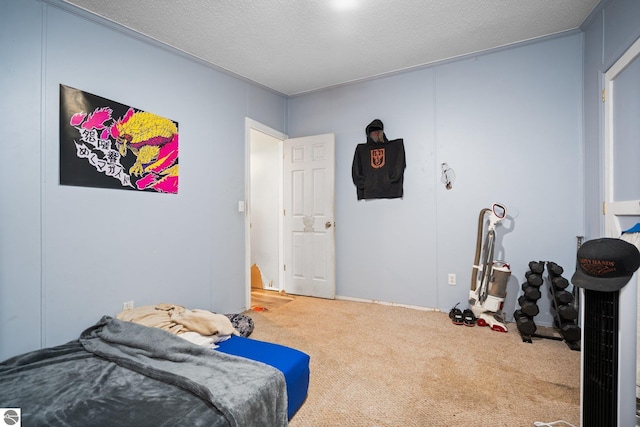 9170 Townline Rd, Kingsley, MI 49649 - bedroom with carpet flooring and a textured ceiling