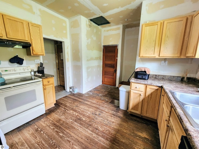 18846 Maple St, Copemish, MI 49625 - kitchen with white range with electric stovetop, under cabinet range hood, light brown cabinetry, dark wood-type flooring, and a sink