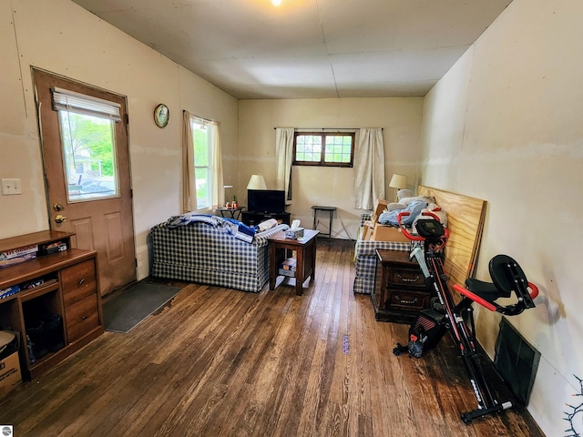18846 Maple St, Copemish, MI 49625 - living area featuring hardwood / wood-style flooring