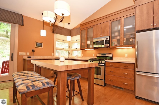 4365 W Burdickville Rd, Maple City, MI 49664 - kitchen with appliances with stainless steel finishes, light wood-type flooring, brown cabinetry, lofted ceiling, and light countertops