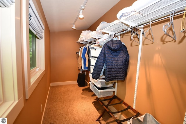 4365 W Burdickville Rd, Maple City, MI 49664 - spacious closet featuring carpet floors