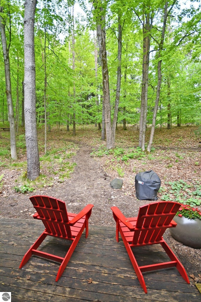 4365 W Burdickville Rd, Maple City, MI 49664 - view of patio