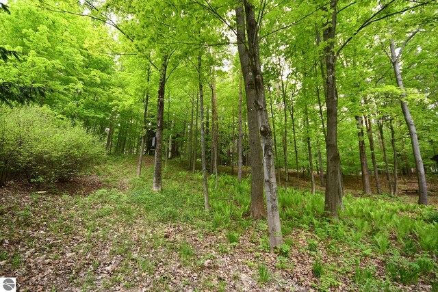 4365 W Burdickville Rd, Maple City, MI 49664 - view of tree filled area
