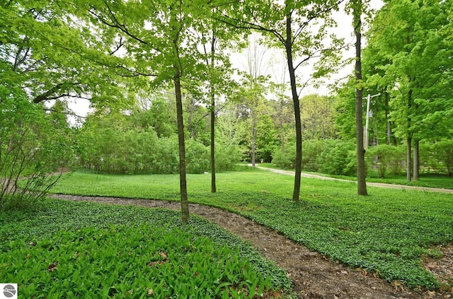 4365 W Burdickville Rd, Maple City, MI 49664 - view of green lawn