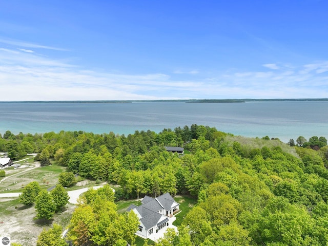 6848 S Carol Ann Dr, Traverse City, MI 49684 - drone / aerial view of a nearby body of water and a forest