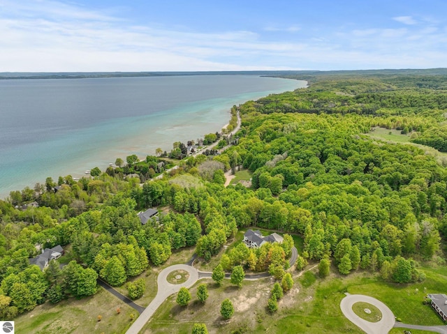 6848 S Carol Ann Dr, Traverse City, MI 49684 - drone / aerial view of a heavily wooded area and a nearby body of water