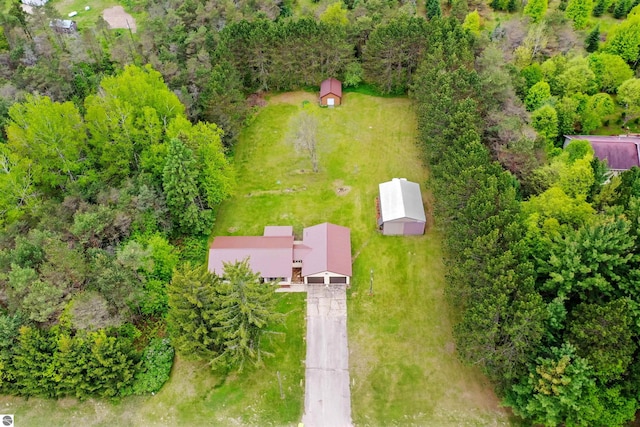 6148 S 27th Rd, Cadillac, MI 49601 - bird's eye view