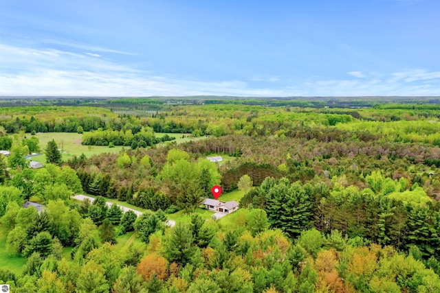 6148 S 27th Rd, Cadillac, MI 49601 - bird's eye view of a forest