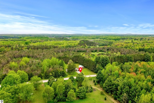 6148 S 27th Rd, Cadillac, MI 49601 - drone / aerial view of a forest