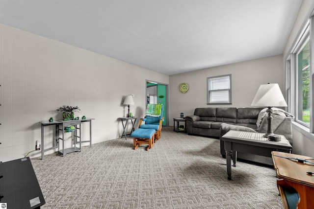 6148 S 27th Rd, Cadillac, MI 49601 - living area featuring plenty of natural light and carpet flooring