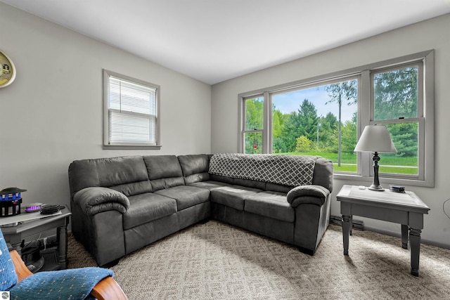 6148 S 27th Rd, Cadillac, MI 49601 - living room with healthy amount of natural light and carpet flooring