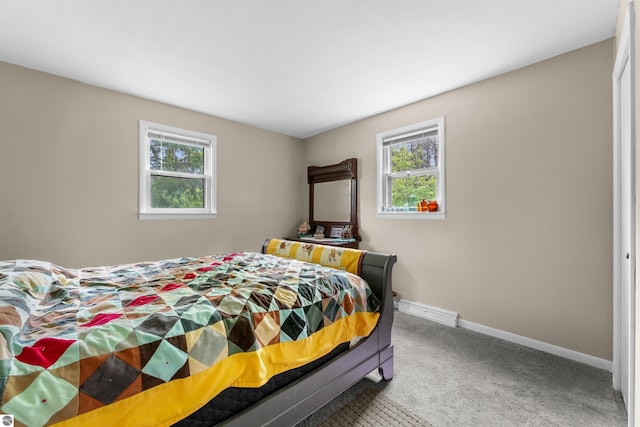 6148 S 27th Rd, Cadillac, MI 49601 - bedroom with multiple windows, carpet flooring, and baseboards