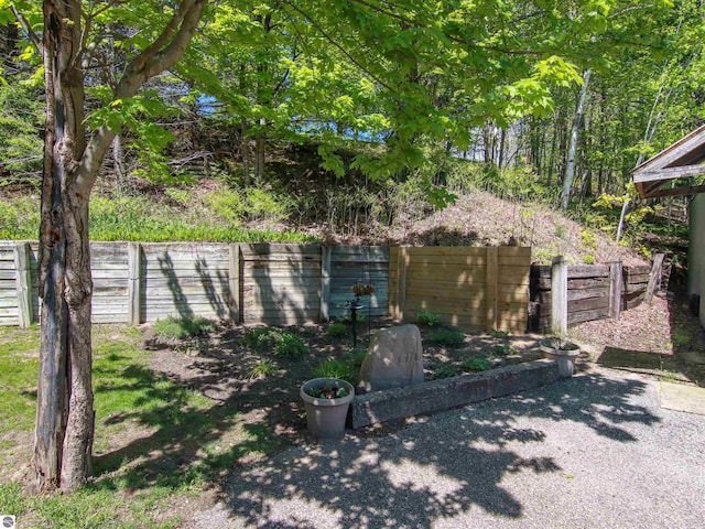 8086 Narrow Gauge Rd, Beulah, MI 49617 - view of yard
