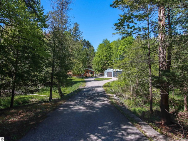 8086 Narrow Gauge Rd, Beulah, MI 49617 - view of asphalt driveway featuring a forest view