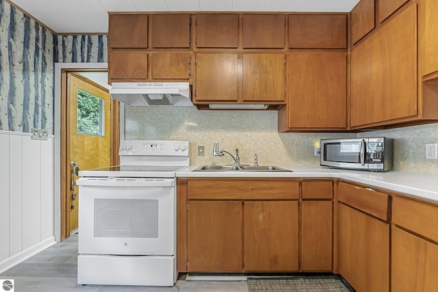7510 Crystal Dr, Beulah, MI 49616 - kitchen with white electric range, under cabinet range hood, a sink, stainless steel microwave, and light countertops