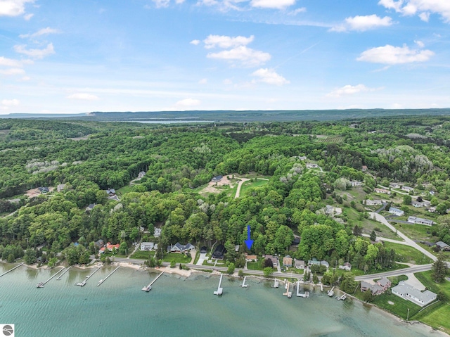 7510 Crystal Dr, Beulah, MI 49616 - aerial view of property's location with a heavily wooded area and a large body of water