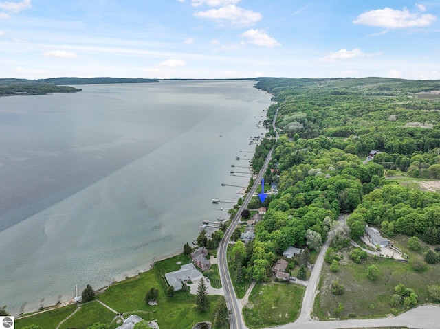 7510 Crystal Dr, Beulah, MI 49616 - aerial overview of property's location with a large body of water and a heavily wooded area