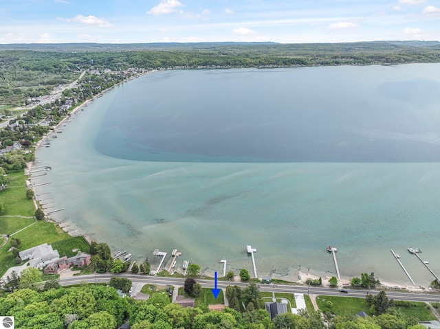 7510 Crystal Dr, Beulah, MI 49616 - aerial view of a large body of water