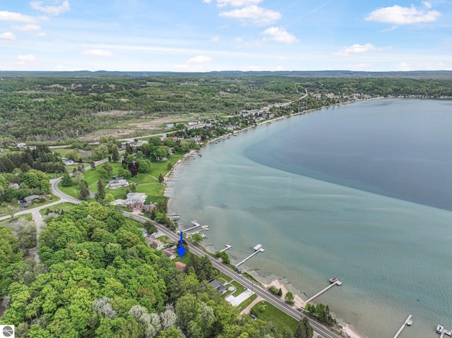 7510 Crystal Dr, Beulah, MI 49616 - aerial view of a heavily wooded area and a large body of water