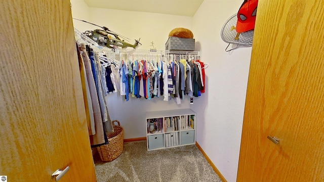 2152 Cornerstone Dr, Mount Pleasant, MI 48858 - spacious closet with carpet