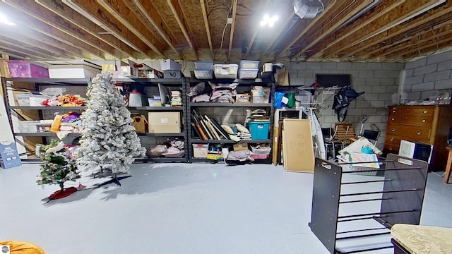 2152 Cornerstone Dr, Mount Pleasant, MI 48858 - view of storage area