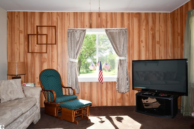 4327 S M-65, Glennie, MI 48737 - living area with wood walls and carpet