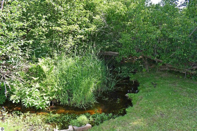 4327 S M-65, Glennie, MI 48737 - view of nature