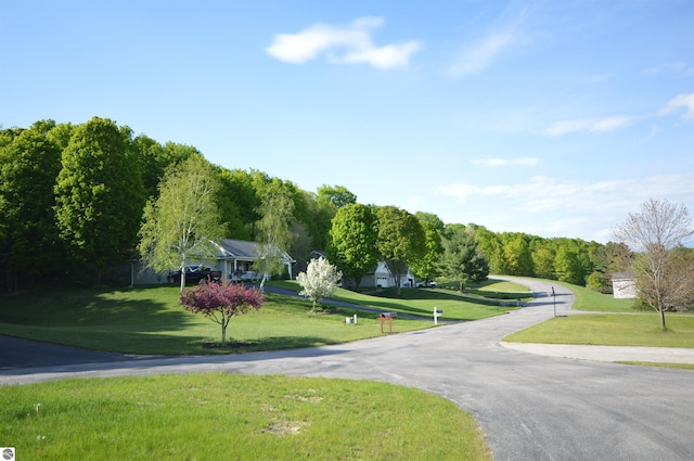 1433 Elk Run, Traverse City, MI 49696 - view of street
