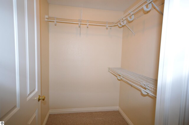 1433 Elk Run, Traverse City, MI 49696 - walk in closet featuring light carpet