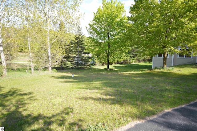 1433 Elk Run, Traverse City, MI 49696 - view of grassy yard with an outbuilding