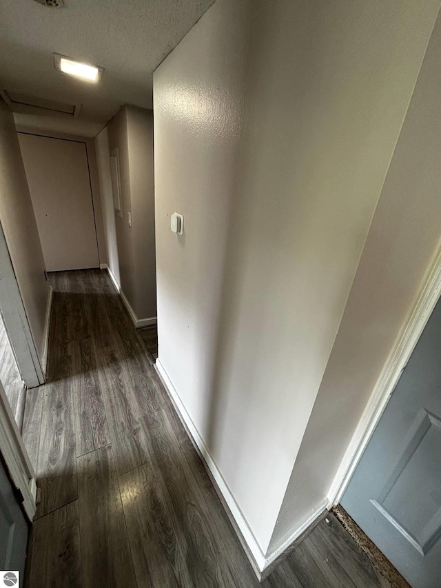 10156 Virginia St, Oscoda, MI 48750 - hall with dark wood-type flooring and baseboards
