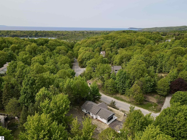 4144 S Sugar Loaf Mountain Rd, Cedar, MI 49621 - aerial view of a forest
