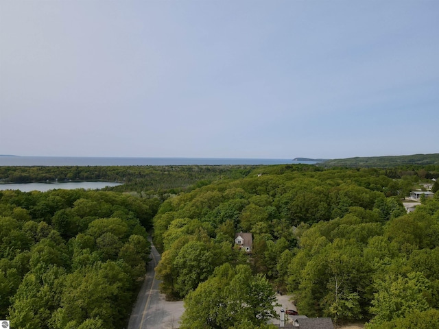 4144 S Sugar Loaf Mountain Rd, Cedar, MI 49621 - bird's eye view of a forest and a large body of water