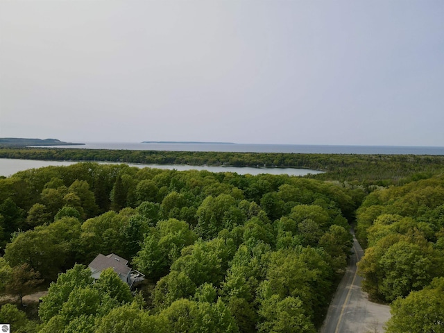 4144 S Sugar Loaf Mountain Rd, Cedar, MI 49621 - bird's eye view of a forest and a nearby body of water