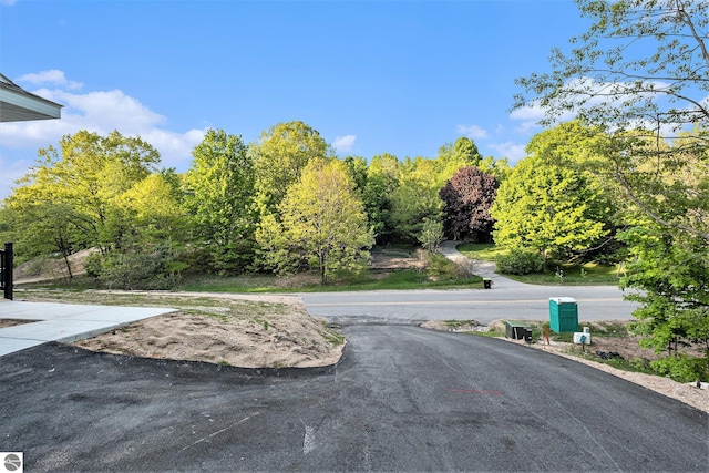 4144 S Sugar Loaf Mountain Rd, Cedar, MI 49621 - view of asphalt road