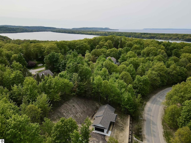 4144 S Sugar Loaf Mountain Rd, Cedar, MI 49621 - aerial view of a large body of water and a forest