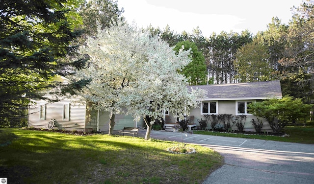 10226 Deerpath N, Traverse City, MI 49685 - view of front of home with a front yard