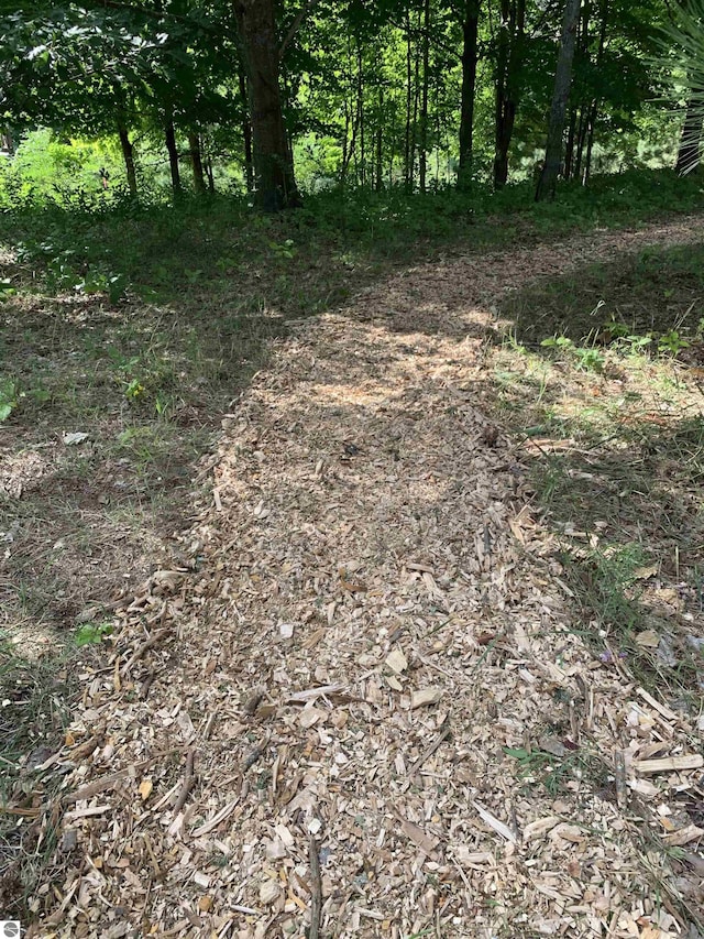 10226 Deerpath N, Traverse City, MI 49685 - view of undeveloped land