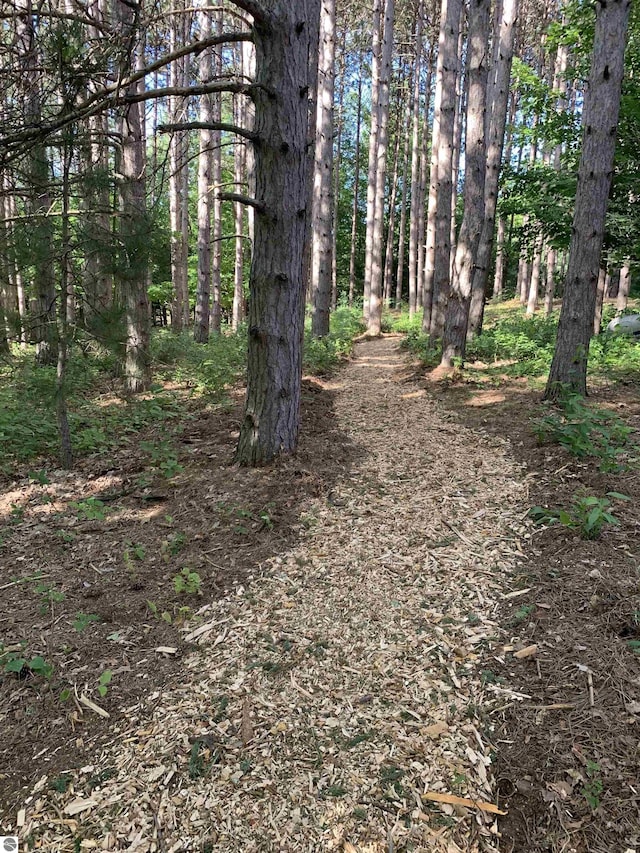 10226 Deerpath N, Traverse City, MI 49685 - view of undeveloped land
