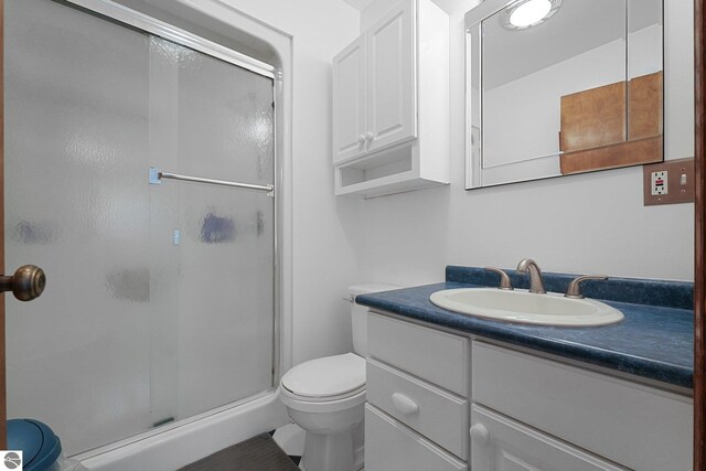 217 Winona Pl, Cadillac, MI 49601 - bathroom with toilet, vanity, and a stall shower