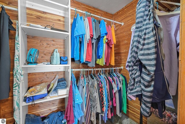 217 Winona Pl, Cadillac, MI 49601 - walk in closet with carpet