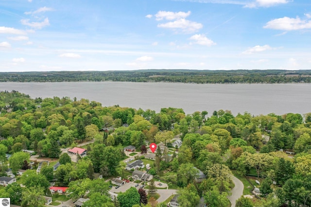 217 Winona Pl, Cadillac, MI 49601 - aerial view of property and surrounding area with a large body of water