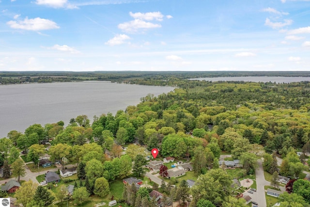217 Winona Pl, Cadillac, MI 49601 - aerial view of property and surrounding area with a nearby body of water and a heavily wooded area