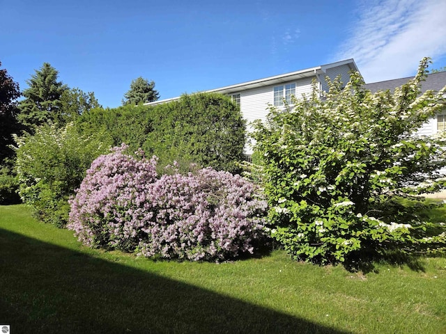 902 S Crapo St, Mount Pleasant, MI 48858 - view of grassy yard