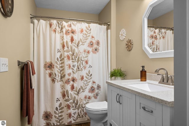 1491 Kent St Unit 9, Traverse City, MI 49686 - bathroom with vanity, toilet, wood finished floors, and curtained shower