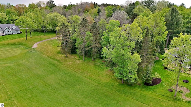 LOT14 White Pine Dr, Cadillac, MI 49601